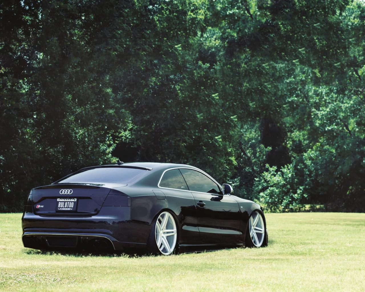 Audi, посадка, s5, тюнинг, авто, деревья, трава, машины
