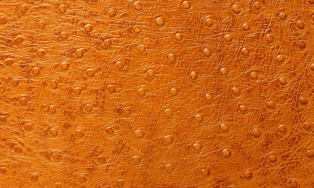 кожа, фон на рабочий, выделка, animal texture, Текстура