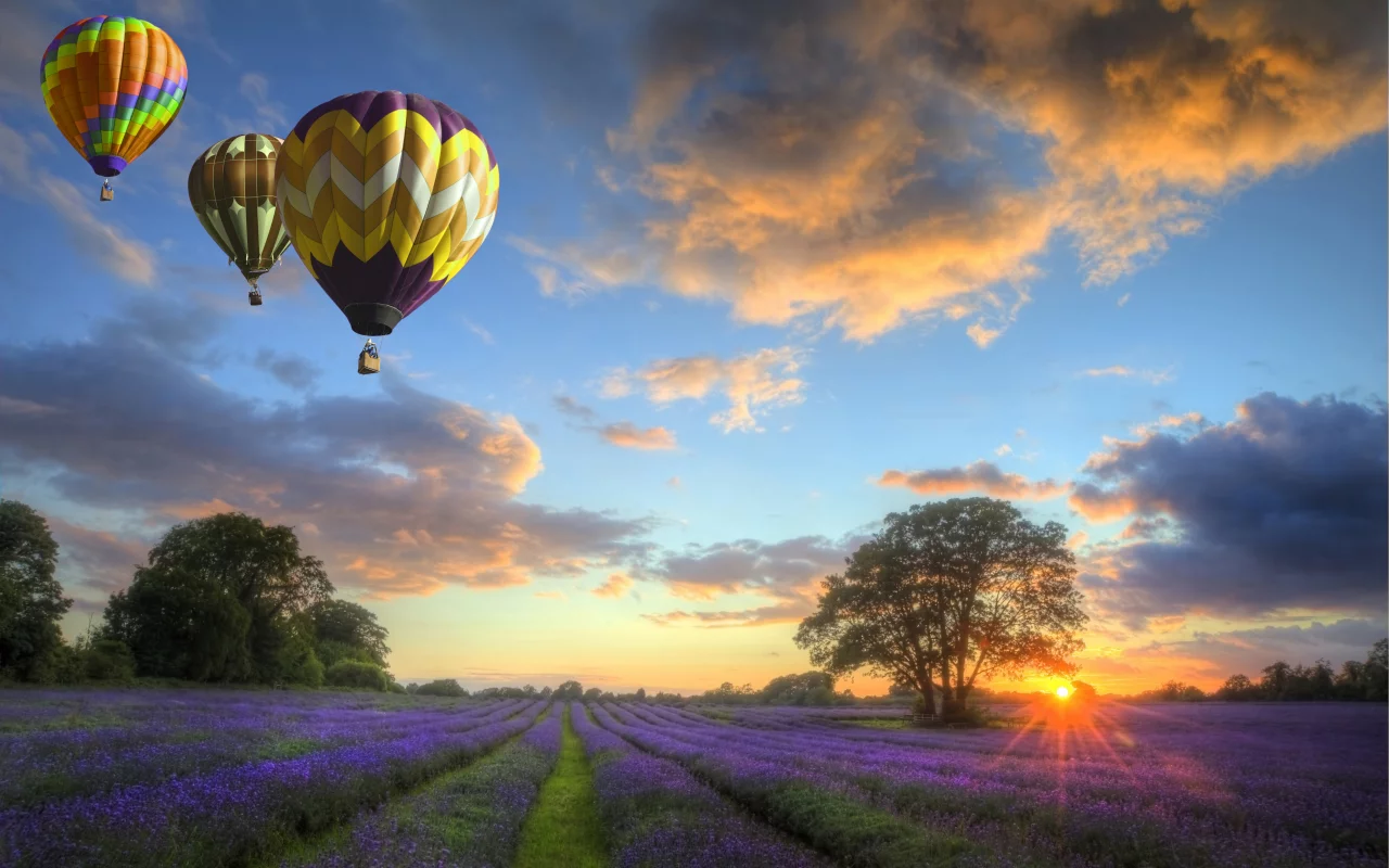 закат, balloons, облака, flowers, небо, field, пейзаж, Природа