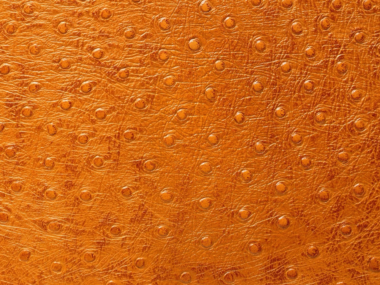 кожа, фон на рабочий, выделка, animal texture, Текстура