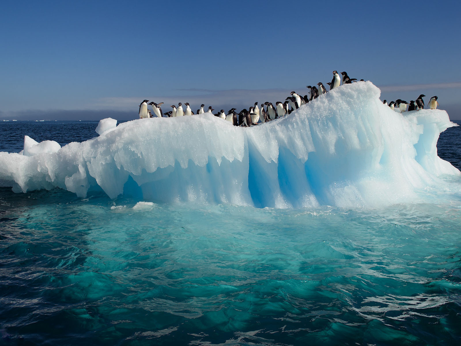 Таяние айсбергов в Антарктиде