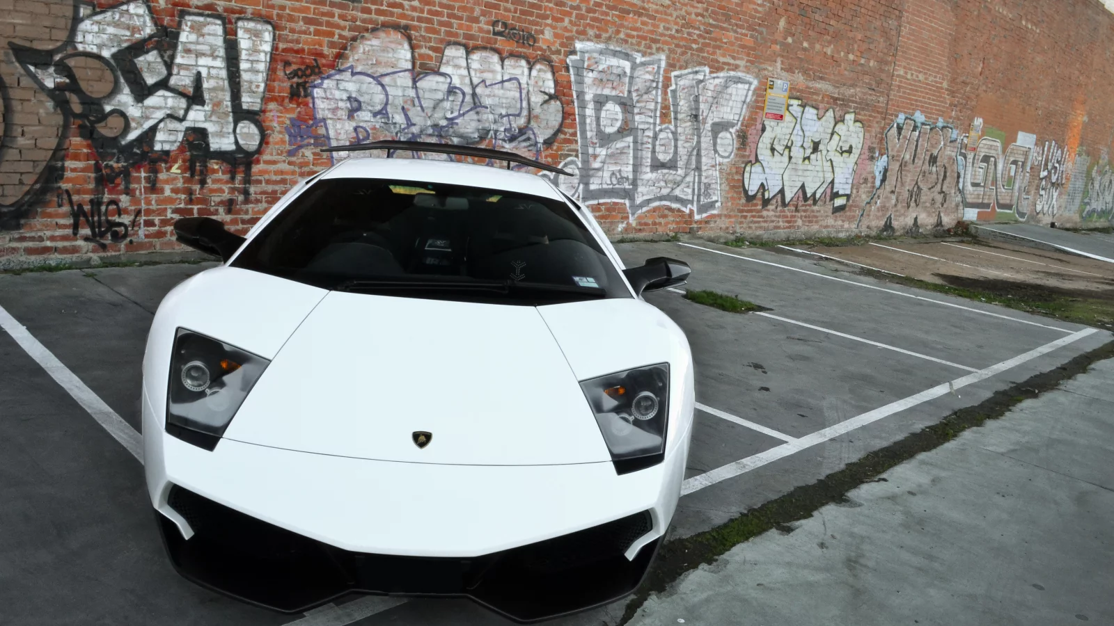graffiti, Lamborghini, murcielago, white, wall, ламборгини, lp670-4 sv