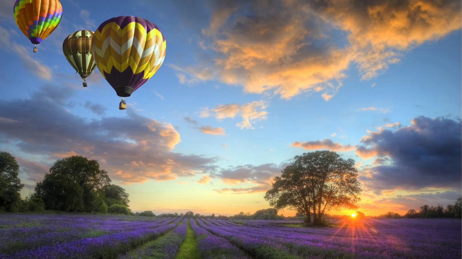 закат, balloons, облака, flowers, небо, field, пейзаж, Природа