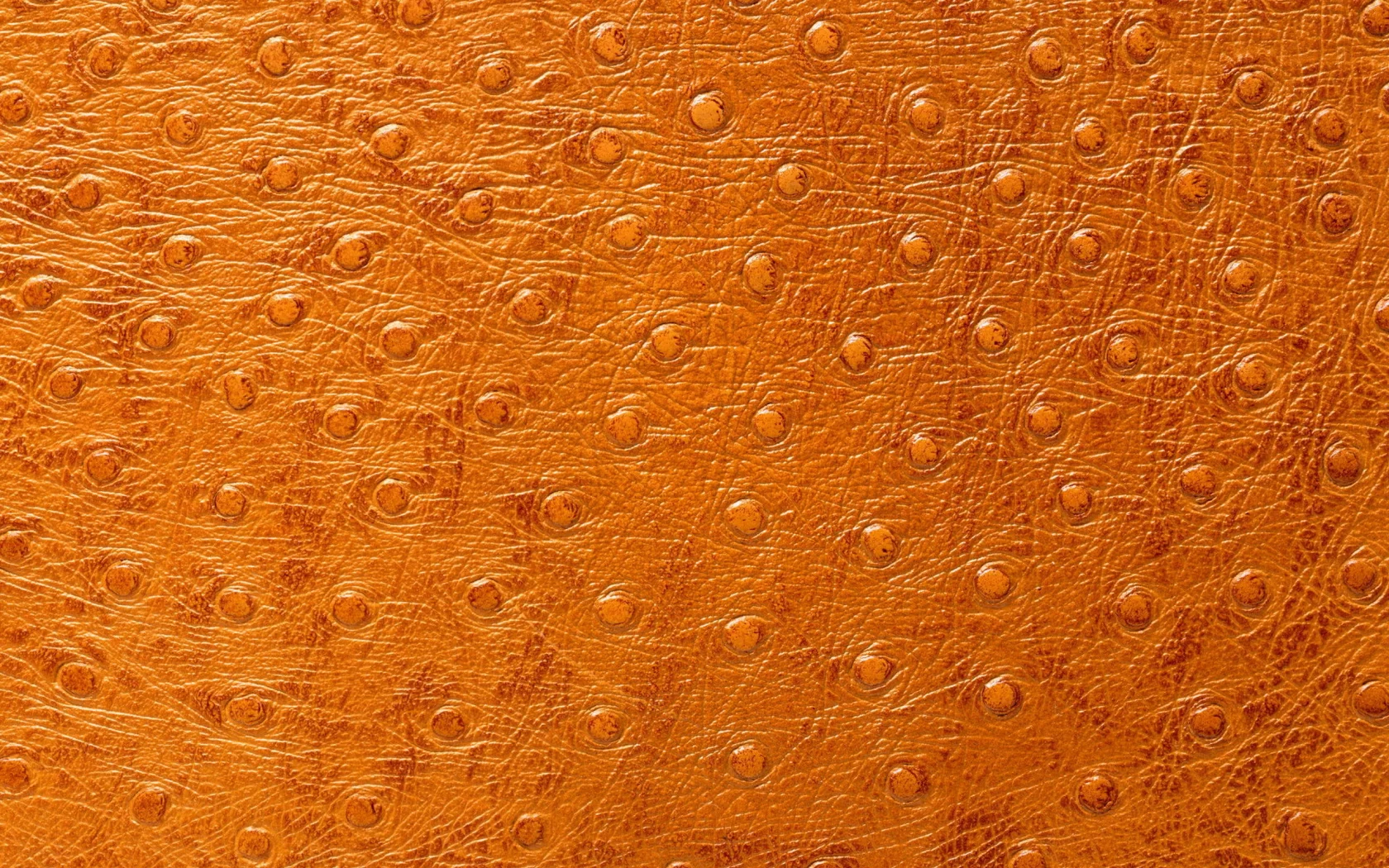 кожа, фон на рабочий, выделка, animal texture, Текстура