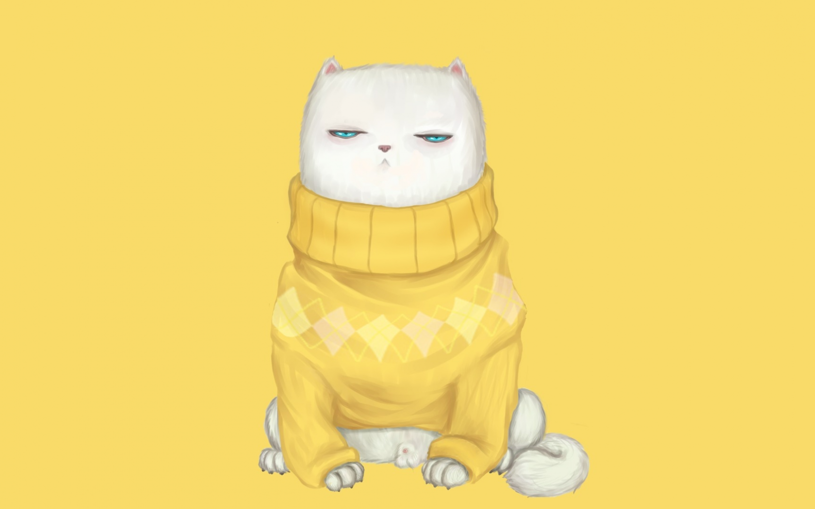 Кот на желтом фоне