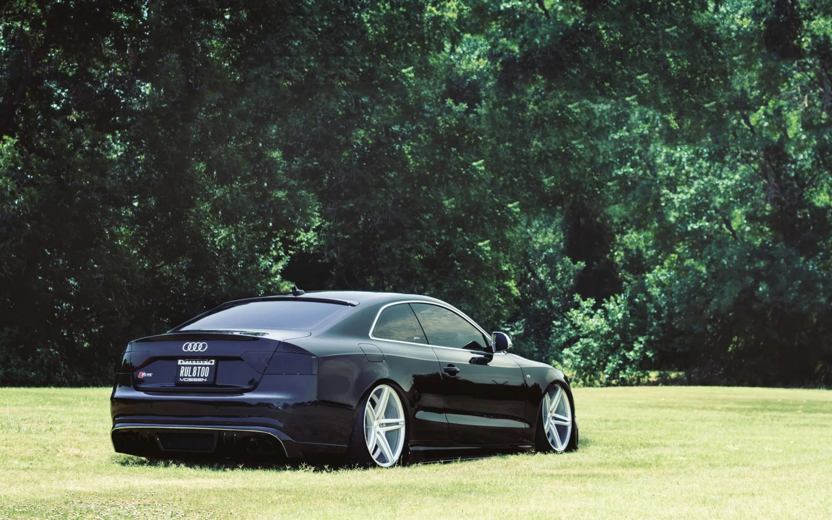 Audi, посадка, s5, тюнинг, авто, деревья, трава, машины