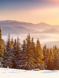 деревья, Природа, горы, облака, пейзаж, небо, снег, зима