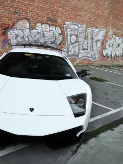 graffiti, Lamborghini, murcielago, white, wall, ламборгини, lp670-4 sv
