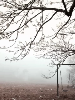 качели, Зима, туман