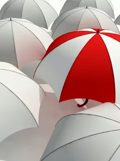 Зонт, белый, зонтик, серость, umbrella, красный, отличие