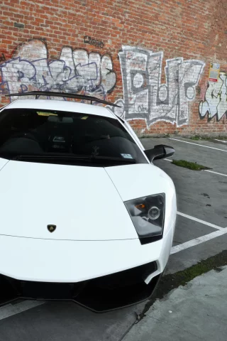 graffiti, Lamborghini, murcielago, white, wall, ламборгини, lp670-4 sv