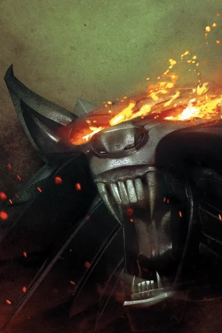 The witcher 2, ведьмак 2, медальон, огонь, medallion, fire