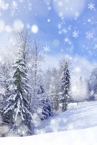деревья, зима, Природа, горы, снег, пейзаж