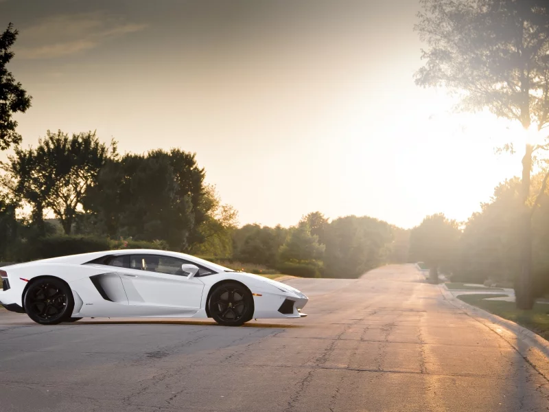 Lamborghini, ламборгини, lp700-4, aventador, black, wheels, white, авентадор