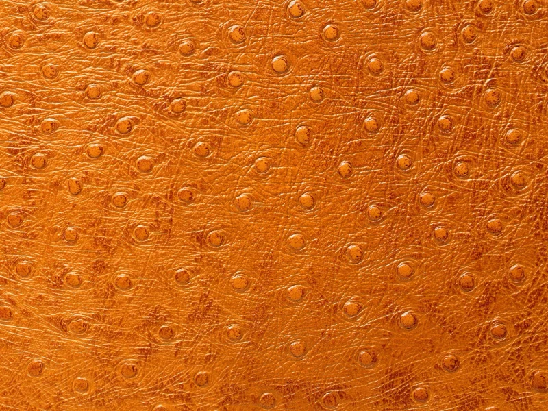 кожа, фон на рабочий, выделка, animal texture, Текстура