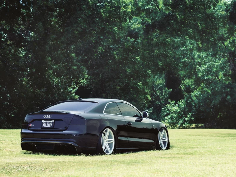 Audi, посадка, s5, тюнинг, авто, деревья, трава, машины