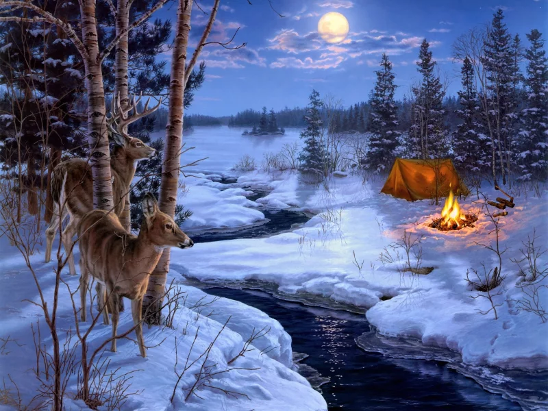 moon shadows, снег, олени, животные, живопись, зима, Darrell bush