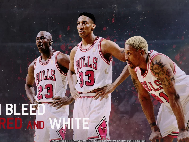 майкл джордан, Michael jordan, basketball, scottie pippen, nba, dennis rodman