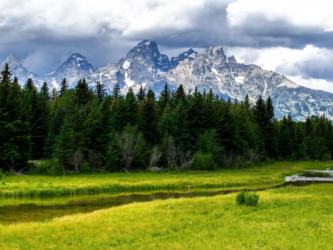 Grand teton national park, лес, деревья, природа, ручей, речка, горы