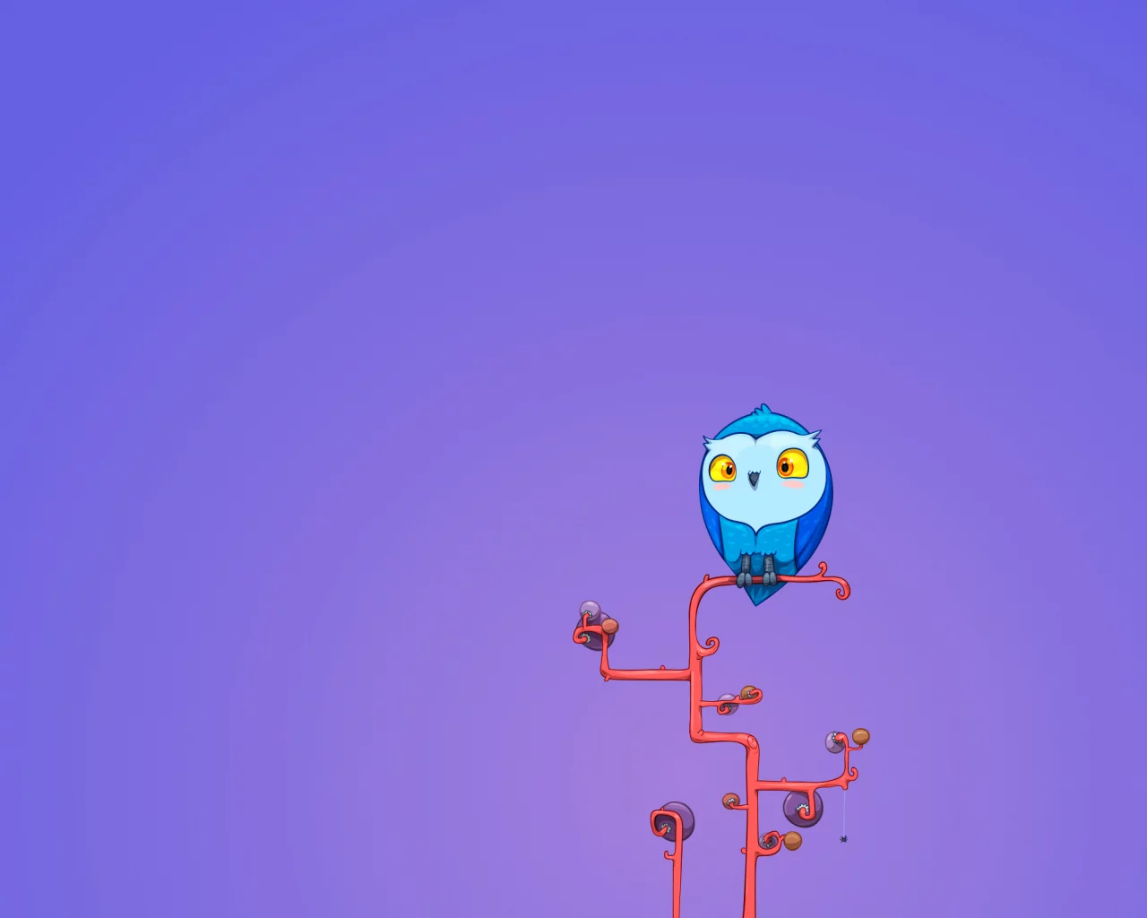 филин, david lanham, Good morning, сова, owl, fernando, позитив