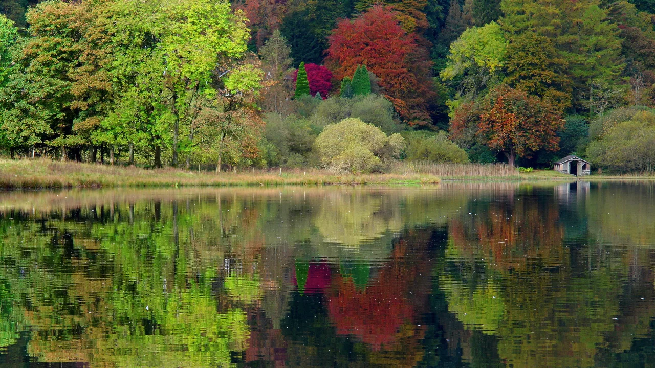 природа, united kingdom, england, grasmere, Великобритания, англия