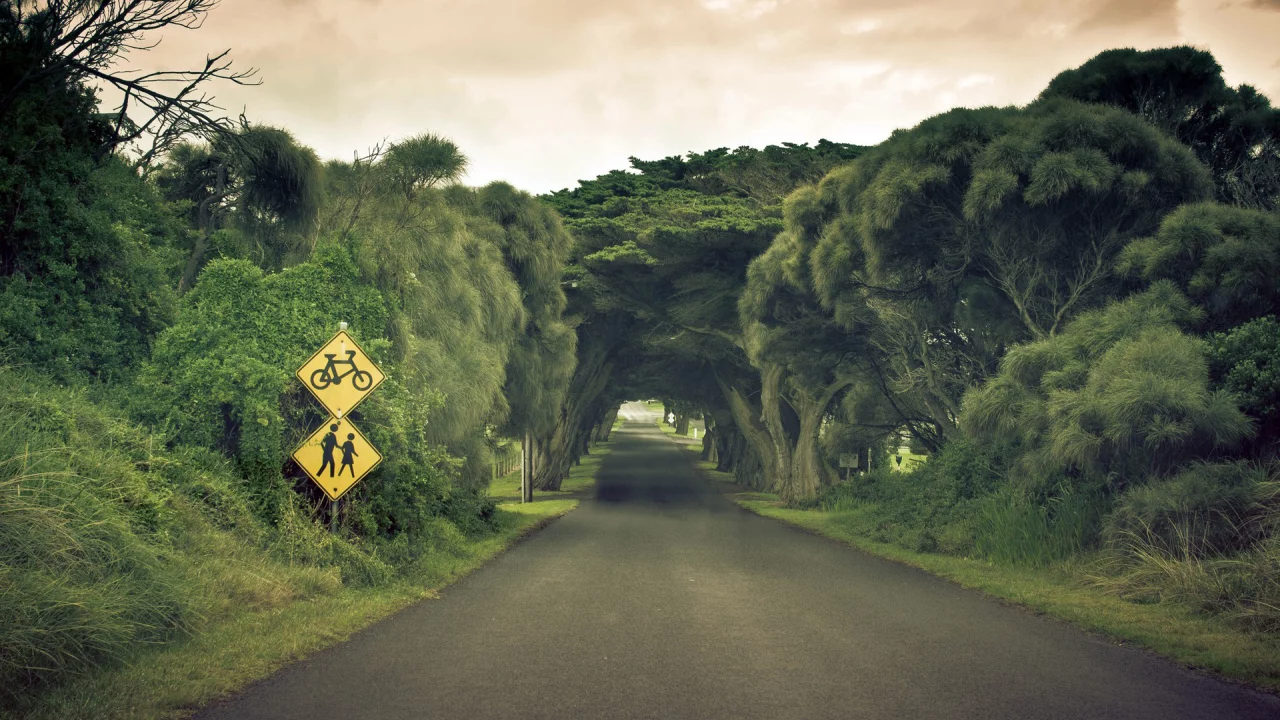 landscape, природа, trees, sky, деревья, Road, пейзаж, nature, дорога