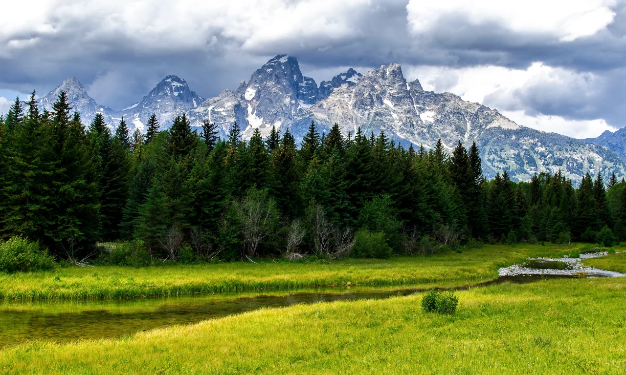Grand teton national park, лес, деревья, природа, ручей, речка, горы