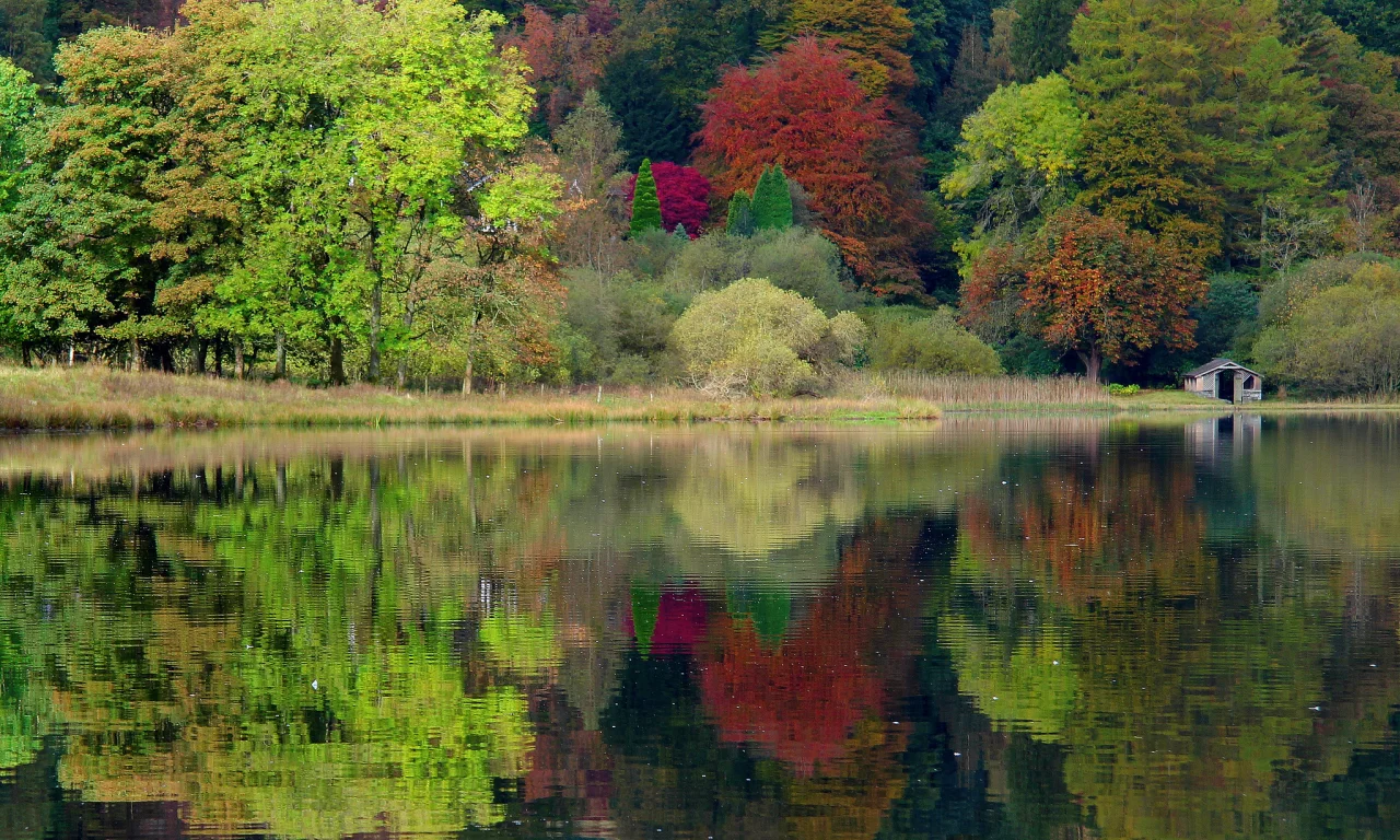 природа, united kingdom, england, grasmere, Великобритания, англия
