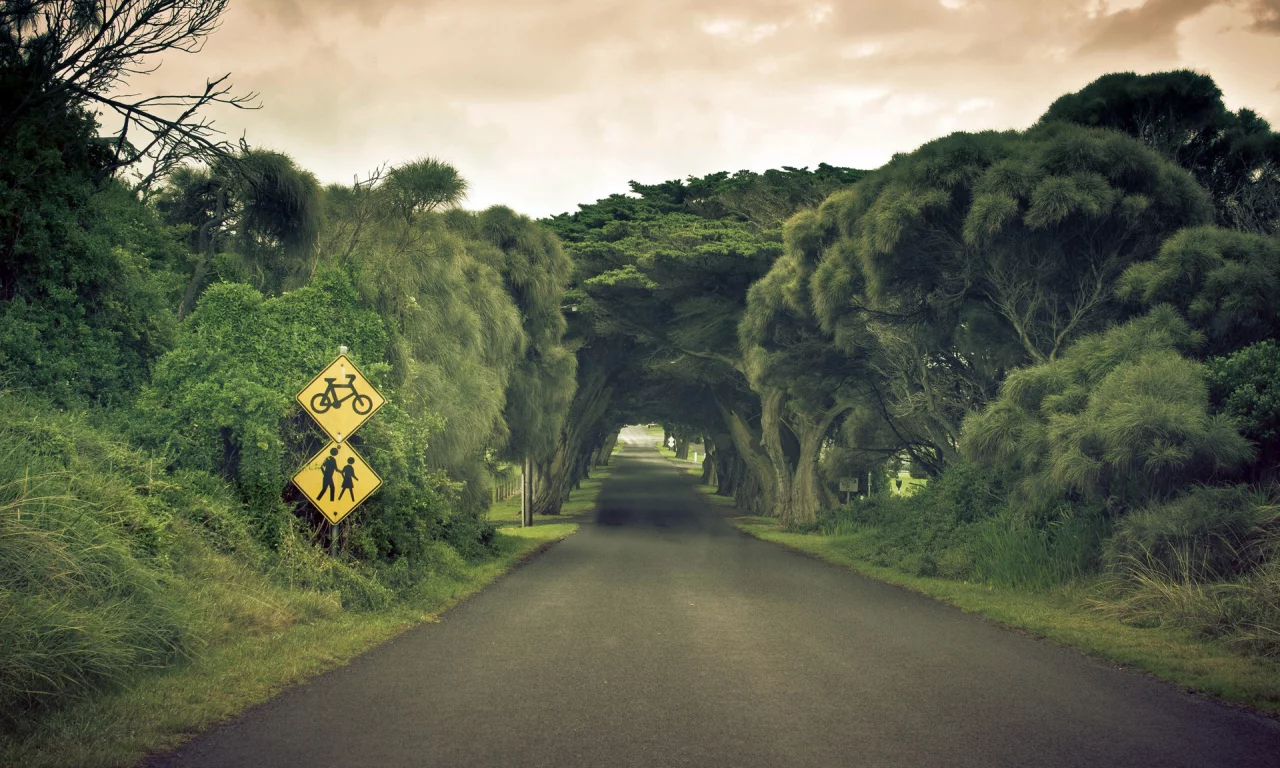 landscape, природа, trees, sky, деревья, Road, пейзаж, nature, дорога