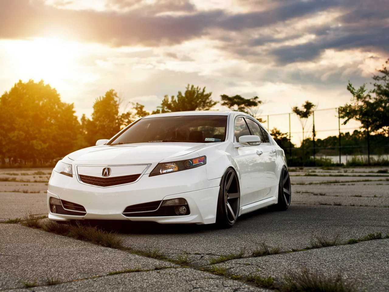 Acura tsx, акура, белая, седан, тюнинг