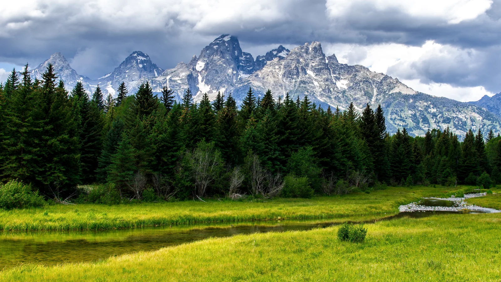 Grand teton national park, лес, деревья, природа, ручей, речка, горы