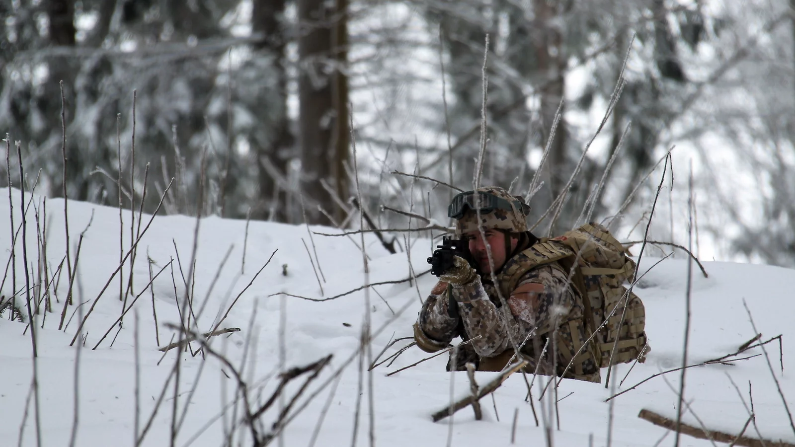 Latvian army, оружие, солдат