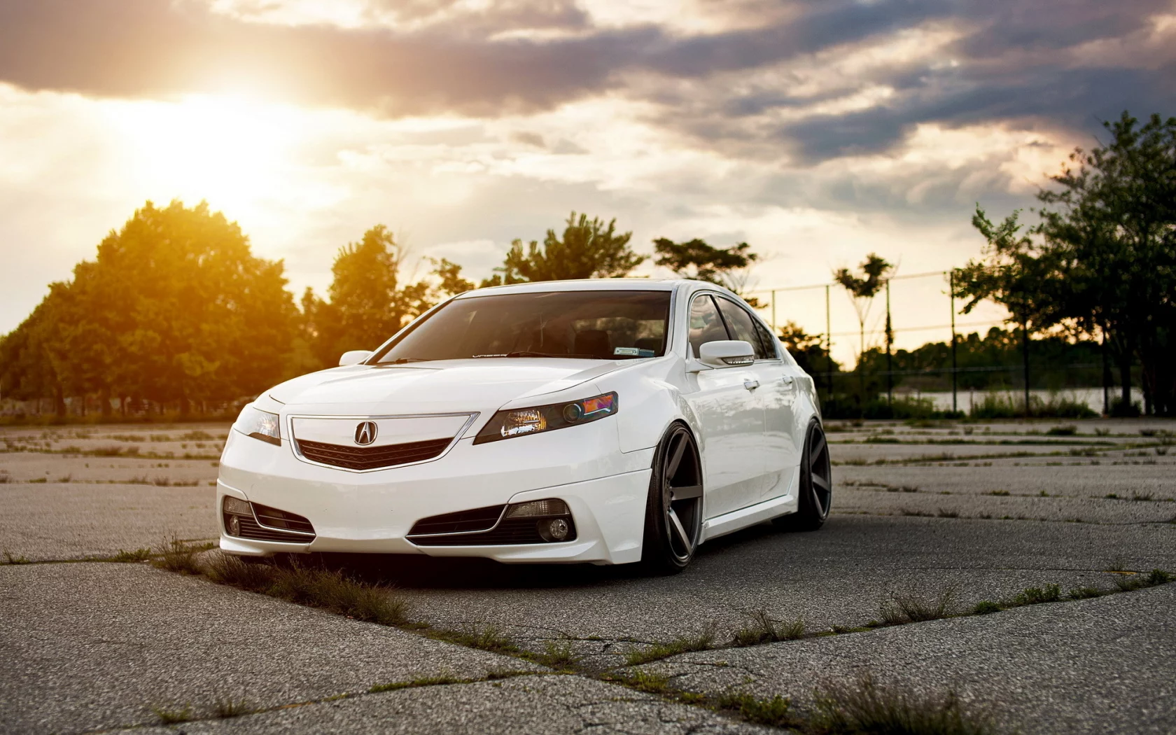 Acura tsx, акура, белая, седан, тюнинг