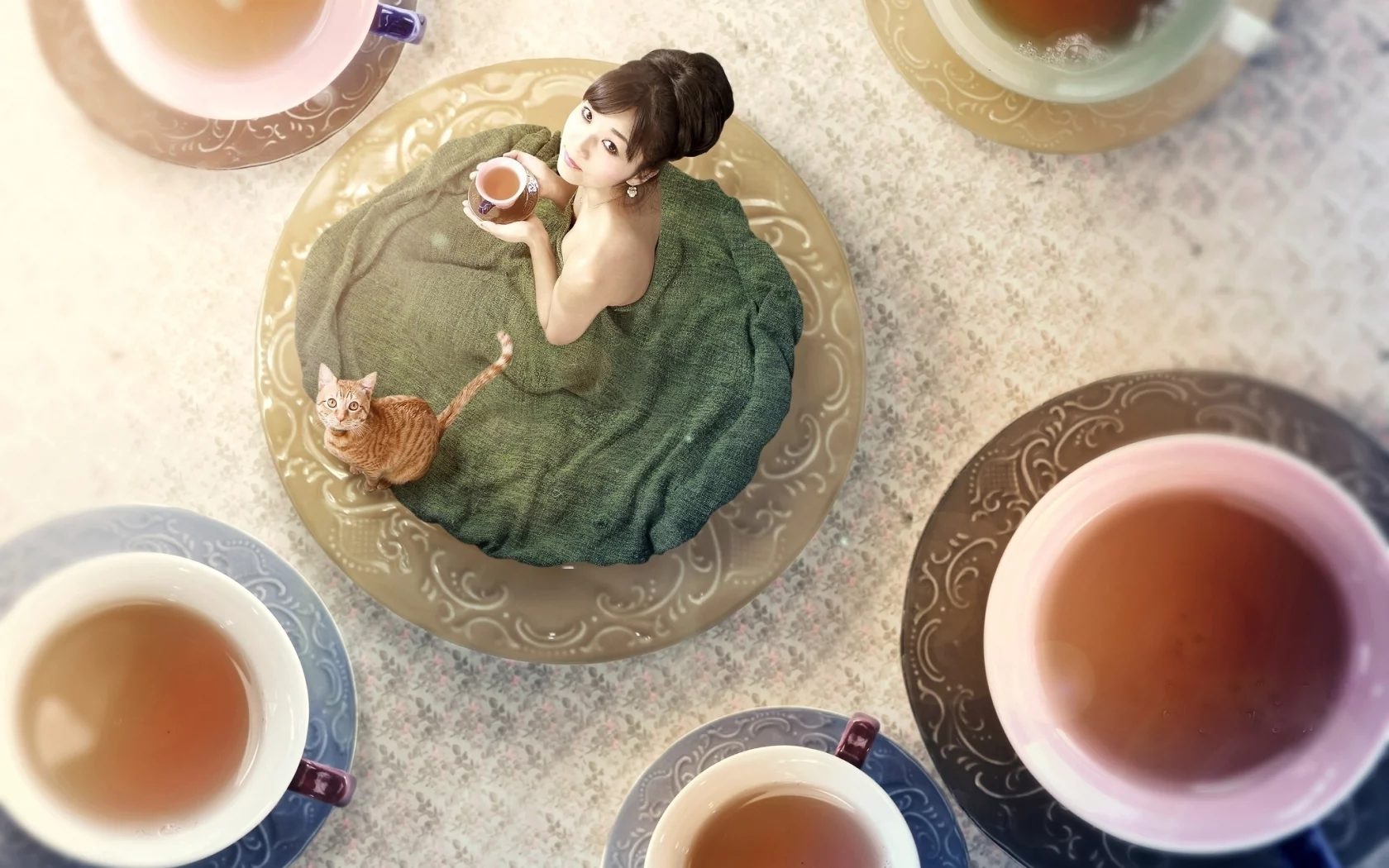 кружки, Азиатка, кот, чай, чашки