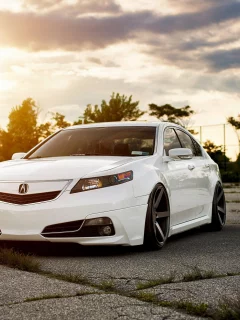 Acura tsx, акура, белая, седан, тюнинг