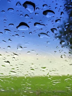 капли, прозрачность, вода, стекло, После дождя, macro