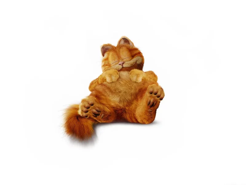 спит, Гарфилд, пушистый, кот, минимализм, рыжий, garfield