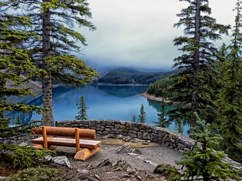 ели, скамейка, banff national park, Lake moraine, озеро, деревья