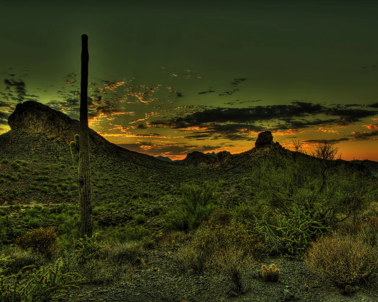 hdr, пустыня, мексика, Закат, горы, кактус