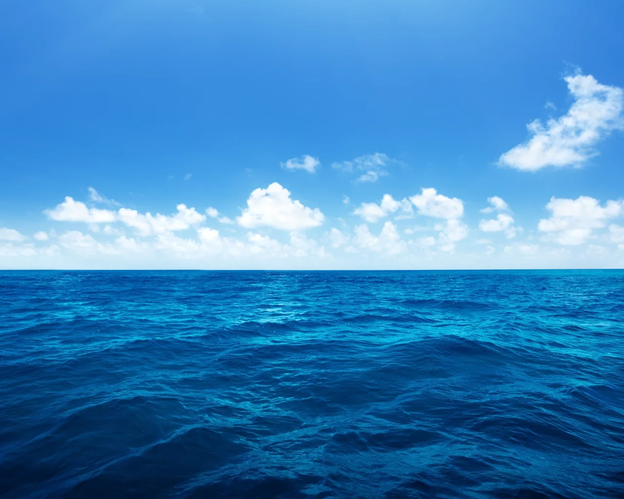 Ocean, palms, nature, облака, море, sky, clouds, океан, waves, пальмы, sea