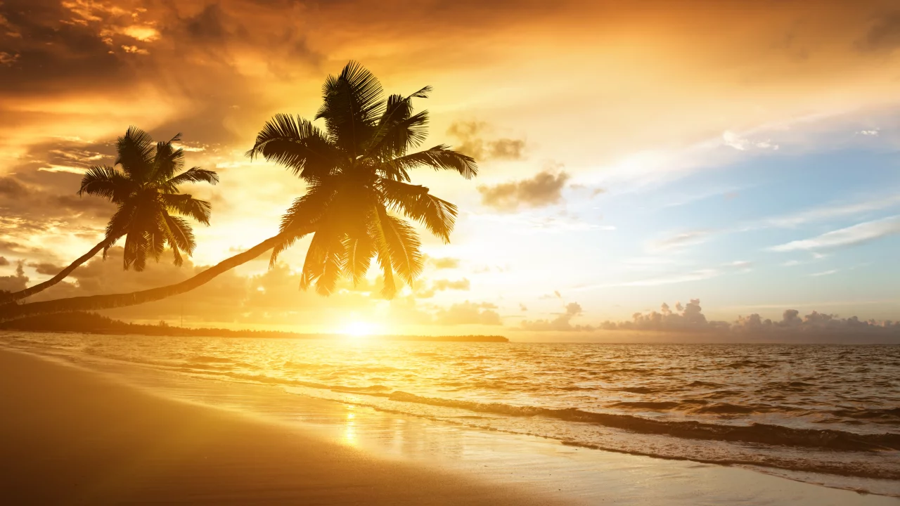 , , , palms, beach, ocean, sea, , sunrise, shore,, , , sunlight, , clouds, , sky, Caribbean