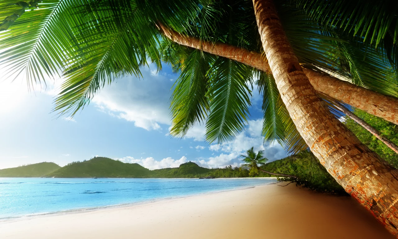 Caribbean, clouds, beach, sea, shore, nature, palms, ocean, landscape, sky