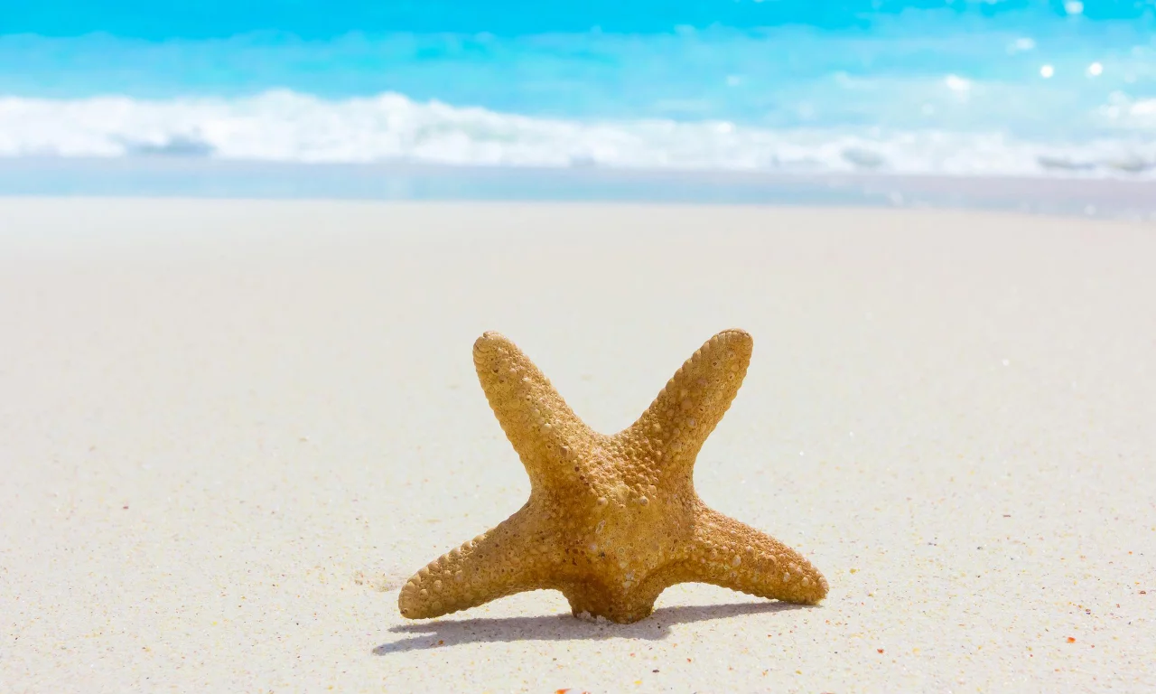 starfish, Nature, sea, sand, beach, summer, лето, природа, море, пляж