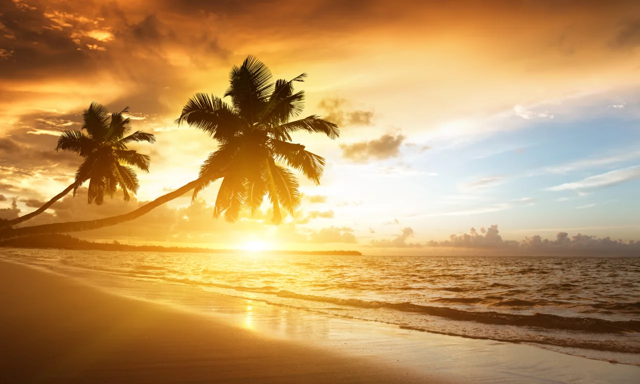 , , , palms, beach, ocean, sea, , sunrise, shore,, , , sunlight, , clouds, , sky, Caribbean