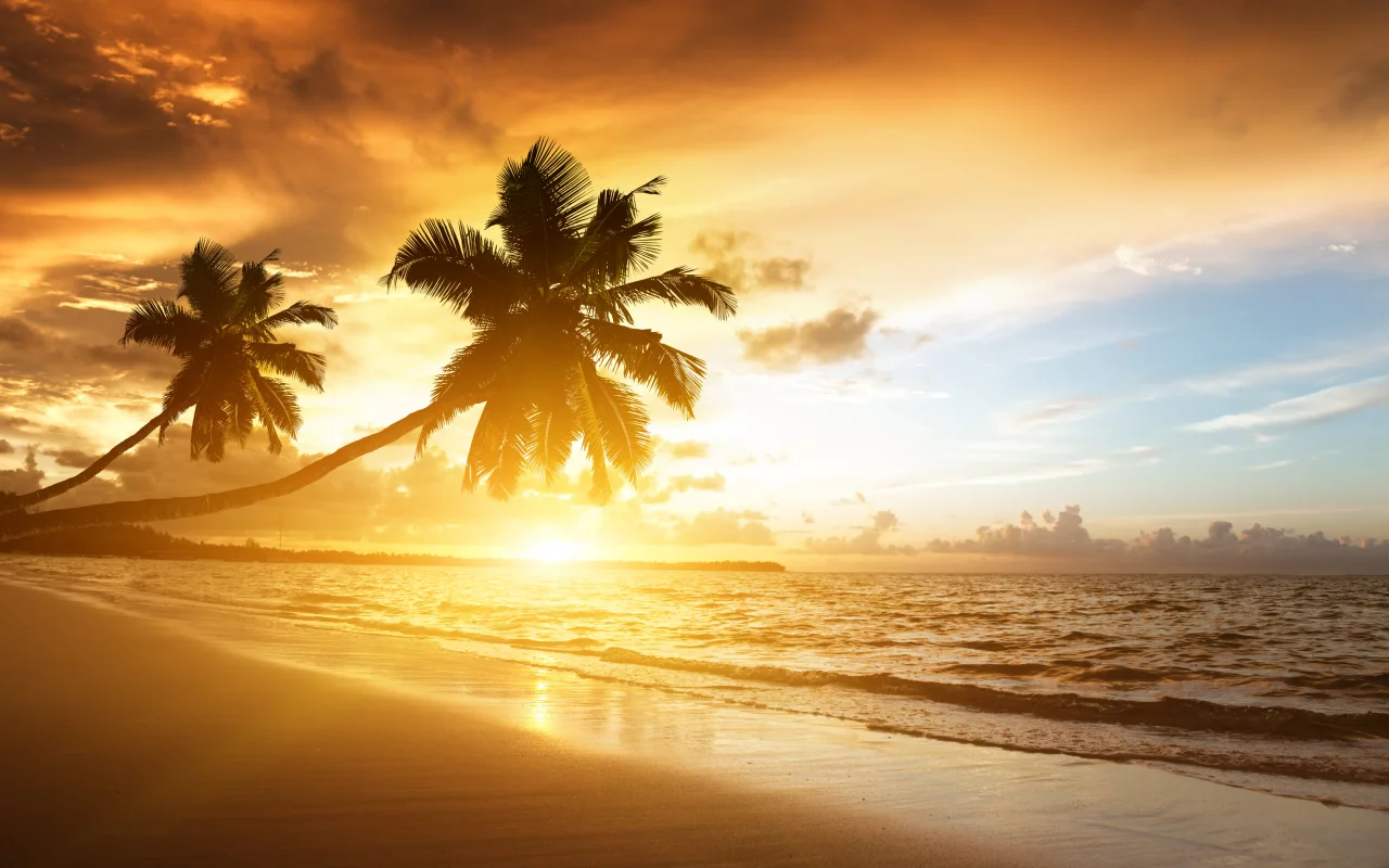 , , , palms, beach, ocean, sea, , sunrise, shore,, , , sunlight, , clouds, , sky, Caribbean