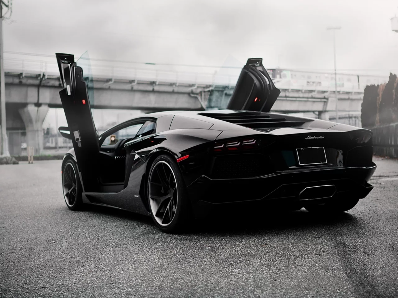 ламбо двери, Lamborghini aventador, pur 4our depth, зад