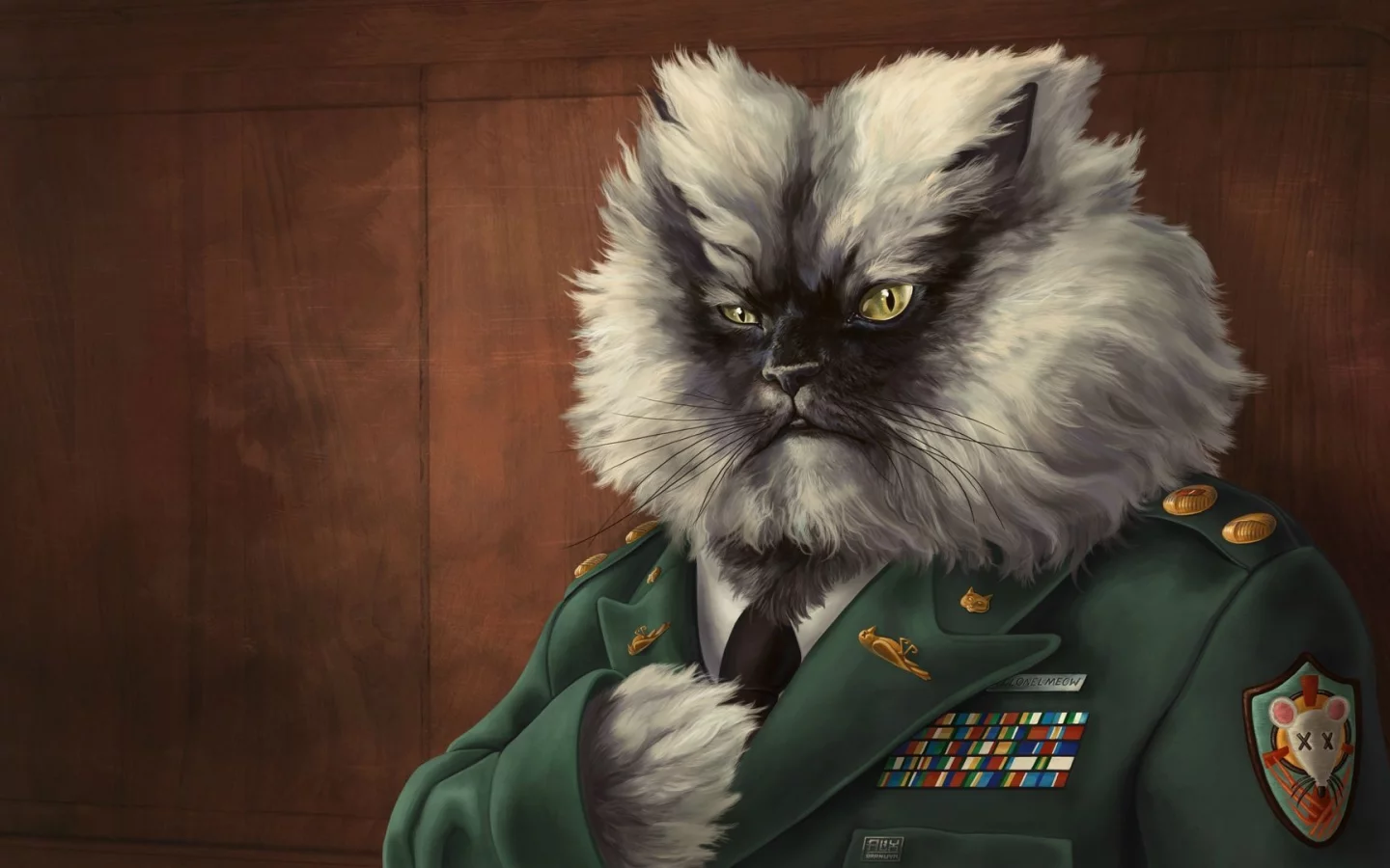 генерал, награды, погоны, кот, Рисунок