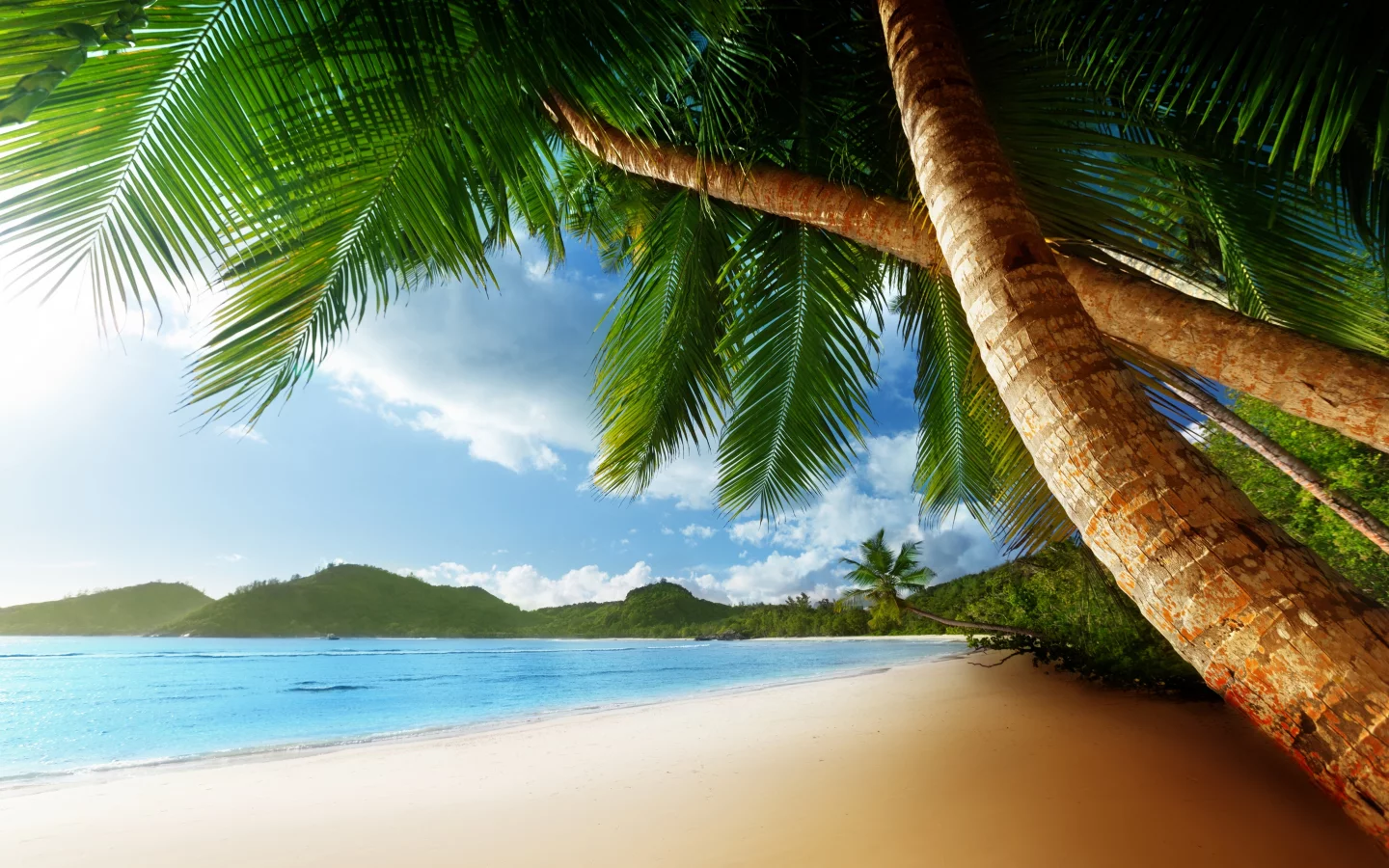 Caribbean, clouds, beach, sea, shore, nature, palms, ocean, landscape, sky