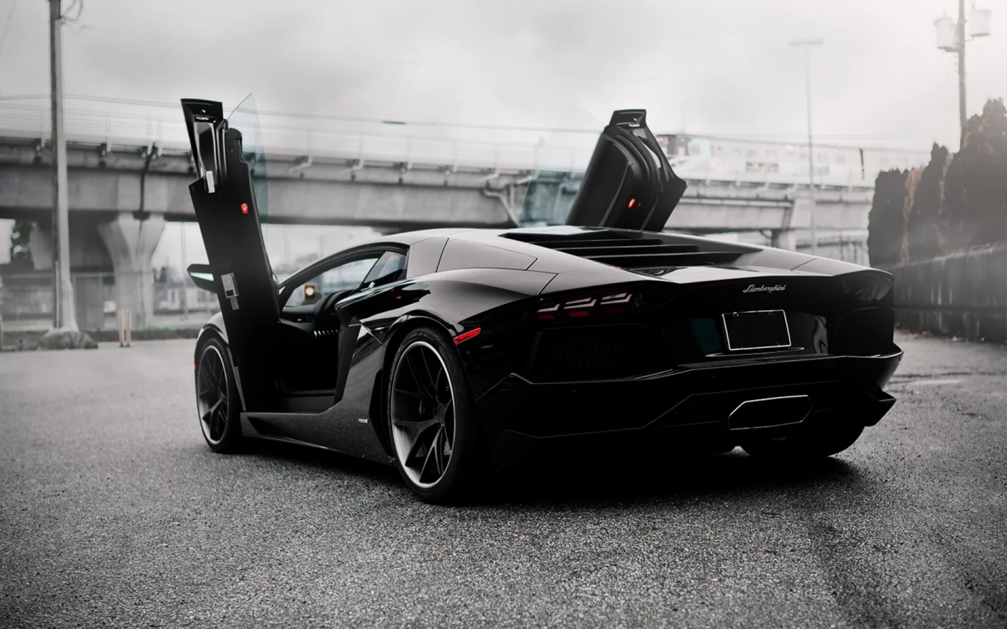 ламбо двери, Lamborghini aventador, pur 4our depth, зад