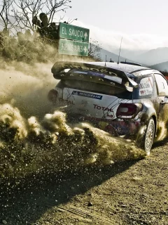 rally, ралли, грязь, wrc, Citroen, 2012, ds3, car, пыль
